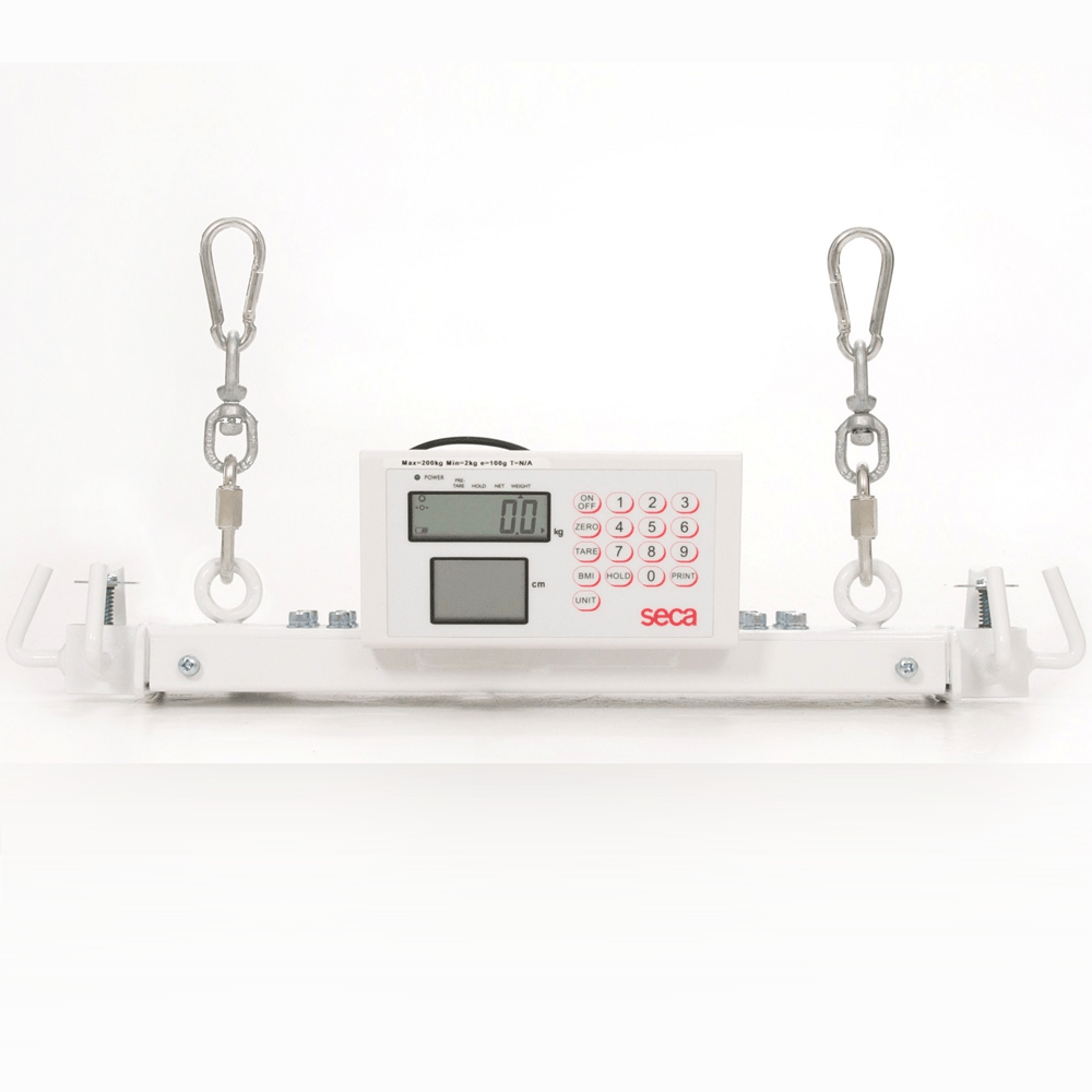 Ceiling Lift Weight Scale Shelly Lighting